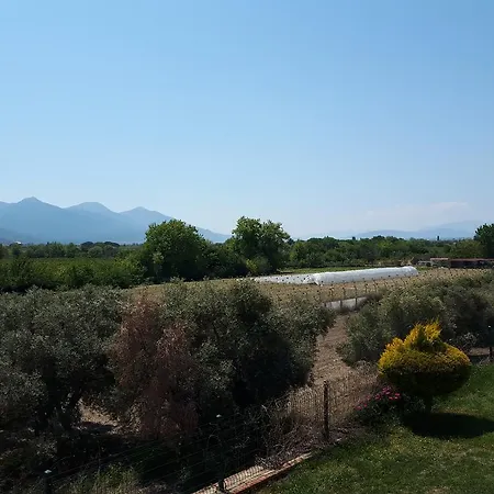Cypress Valley Villas Villa Guzelcamli